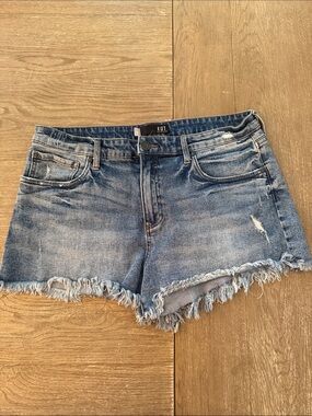 Kut from the Kloth Jane Shorts